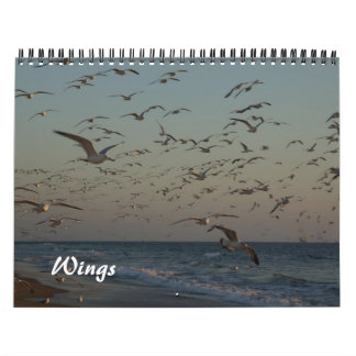 Mural 2013 calendrier - ailes