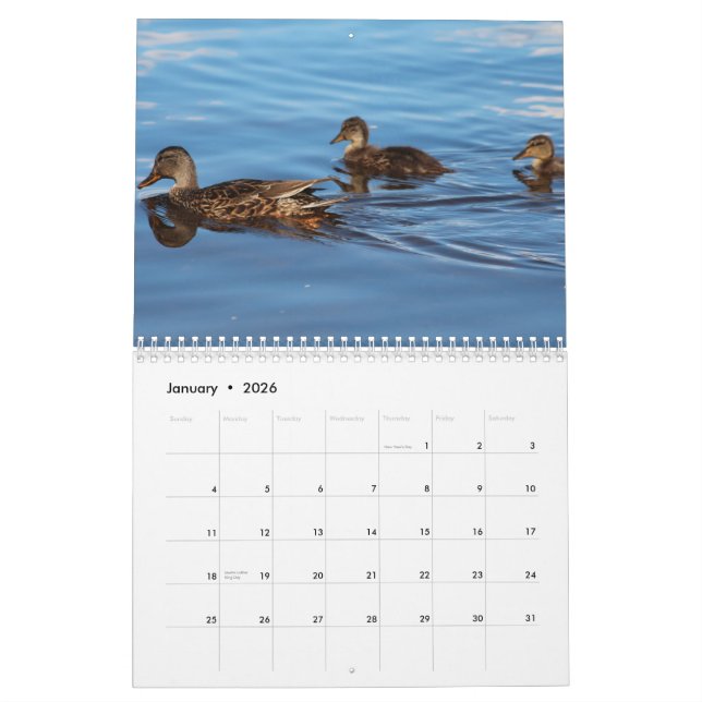 Mural 2014 canards de calendrier (Jan 2026)