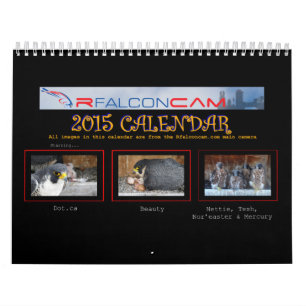 Mural 2015 calendrier - collages principaux de came