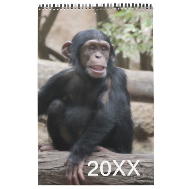 Mural Animaux Calendrier 20XX (Protection)