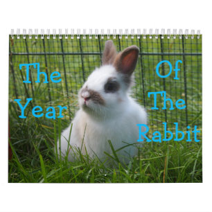 Mural Année Du Calendrier Du Lapin
