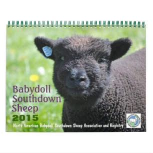 Mural Babydoll Southdown Sheep 2015 Calendrier NABSSAR