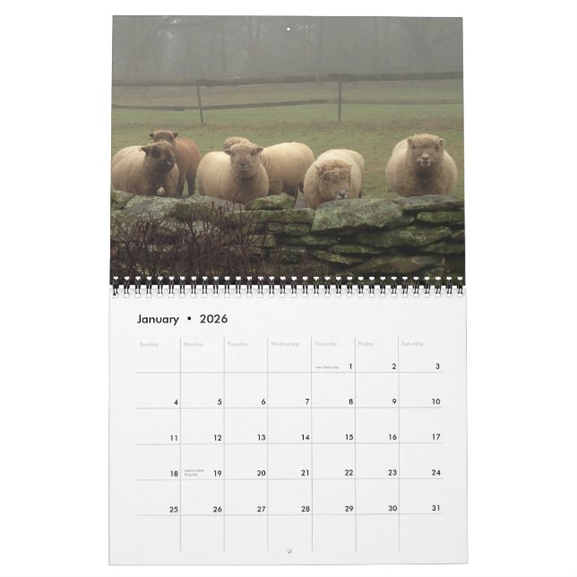 Mural Babydoll Southdown Sheep 2015 Calendrier NABSSAR (Jan 2026)