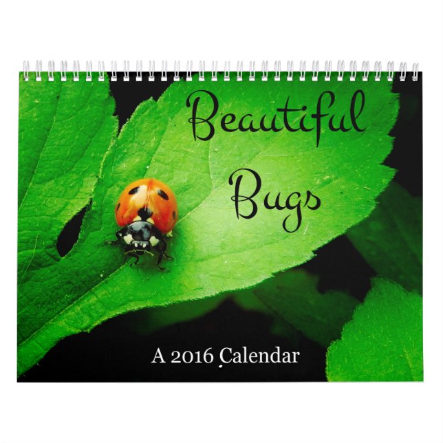Mural Beau calendrier des insectes 2016 (Protection)