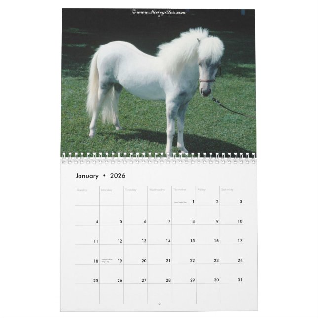 Mural Beau calendrier du cheval 2010 (Jan 2026)