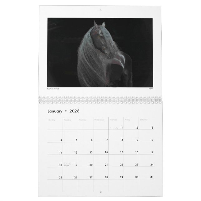 Mural Beauté du calendrier 2015 de cheval (Jan 2026)