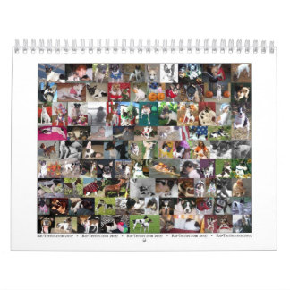 Mural Calendrier 2007 de Rat terrier