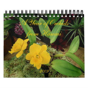 Mural Calendrier 2009 : Une année des orchidées d'Hawa