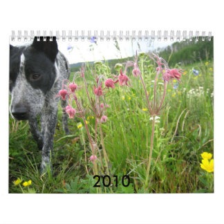 Mural Calendrier 2010 de nature