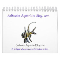 Calendrier 2011