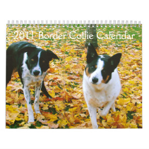 Mural Calendrier 2011 de border collie