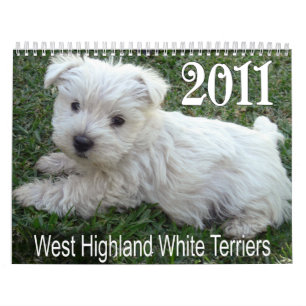 Mural Calendrier 2011 de chiots de Terrier blanc de