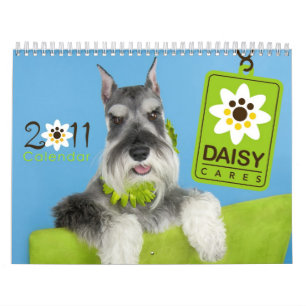 Mural Calendrier 2011 de DaisyCares