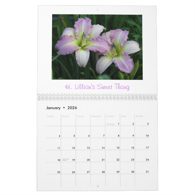 Mural Calendrier 2011 de Daylily            … (Jan 2026)