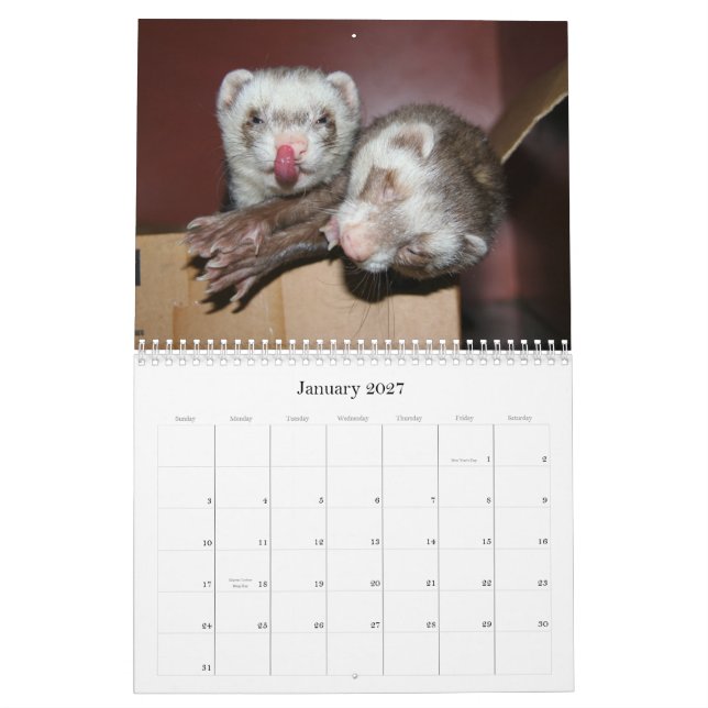 Mural Calendrier 2011 de furet (Jan 2027)