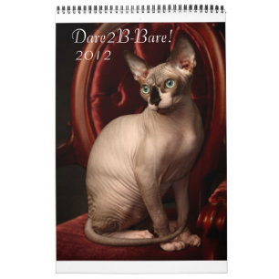 Mural Calendrier 2012 de Sphynx