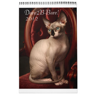 Mural Calendrier 2012 de Sphynx