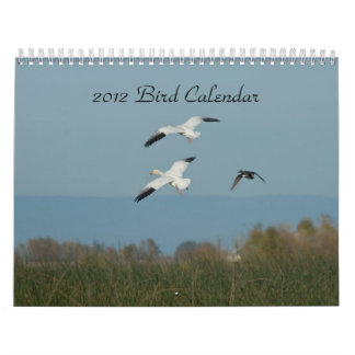 MURAL CALENDRIER 2012 D'OISEAU