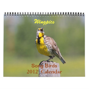 Mural Calendrier 2012 d'oiseaux de chanson de Wingpics