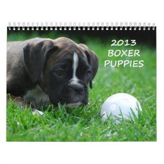 Mural Calendrier 2013 de chiot de boxeur