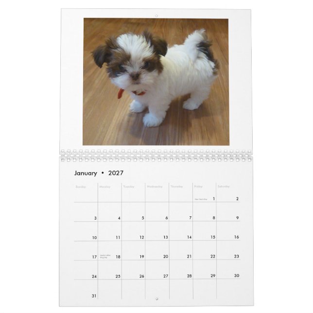 Mural Calendrier 2013 de chiot de Shih Tzu (Jan 2027)