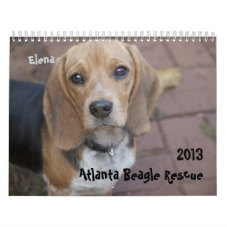 Mural Calendrier 2013 de délivrance de beagle d'Atlanta