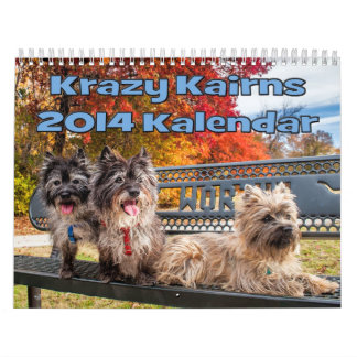 Mural Calendrier 2014 de cairn