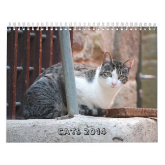 Mural Calendrier 2014 de chat