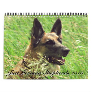 Mural Calendrier 2015 de berger allemand