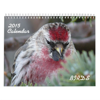 Mural Calendrier 2015 de petits oiseaux