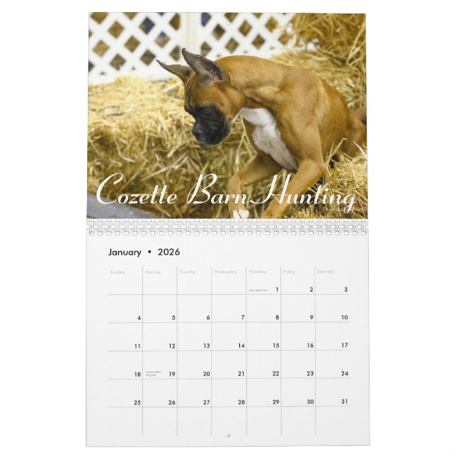 Mural Calendrier 2015 de représentation de boxeur (Jan 2026)