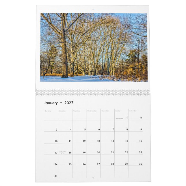 Mural Calendrier 2015 par John A. Feist (Jan 2027)