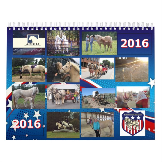 Mural Calendrier 2016 d'ACDHA (Protection)