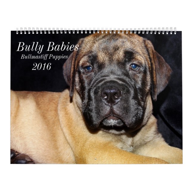 Mural Calendrier 2016 de Bullmastiff (Protection)