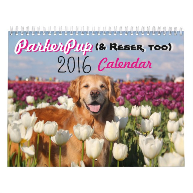 Mural Calendrier 2016 de ParkerPup (et Reser, trop) (Protection)