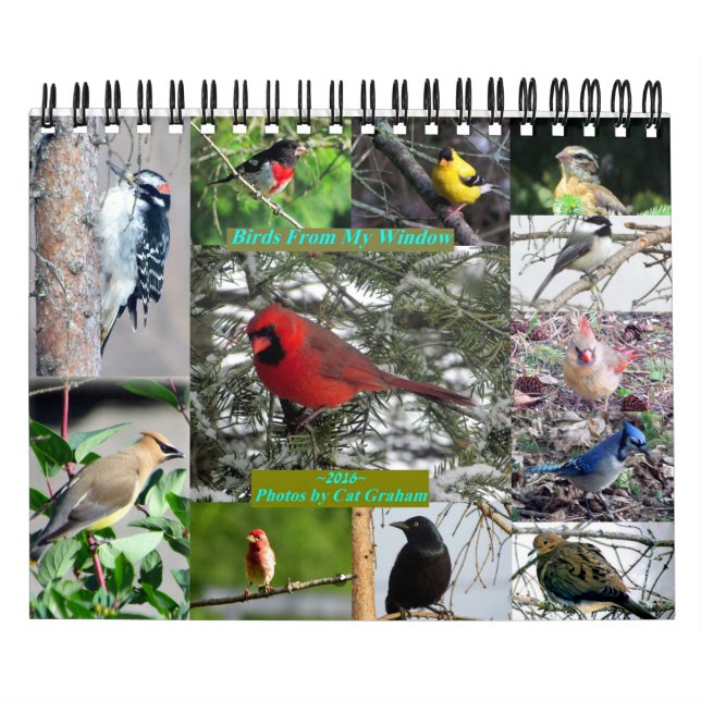 Mural Calendrier 2016 Des Oiseaux De Ma Fenêtre (Protection)