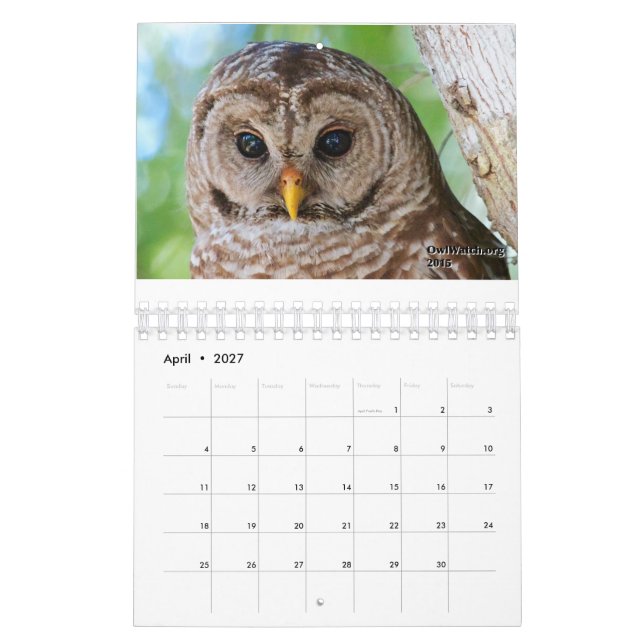Mural Calendrier 2016 d'OwlWatch (Apr 2027)