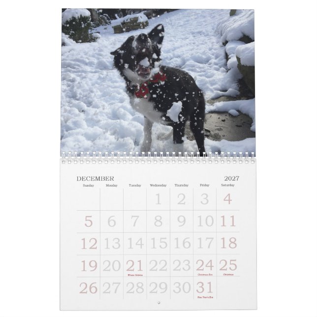 Mural Calendrier 2017 de border collie (Dec 2027)