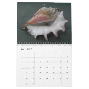 Mural Calendrier 2017 des coquilles