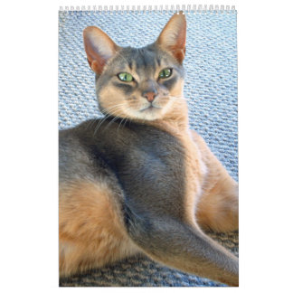 Mural Calendrier Abyssinien Cats & Kitten