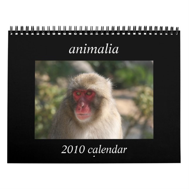 Mural calendrier animal 2010 (Protection)