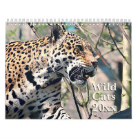 Calendrier animal de faune de chats sauvages