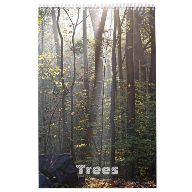 Mural Calendrier - Arbres #1 (Protection)