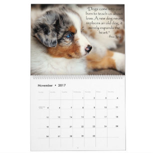 Mural Calendrier australien de chiots de berger