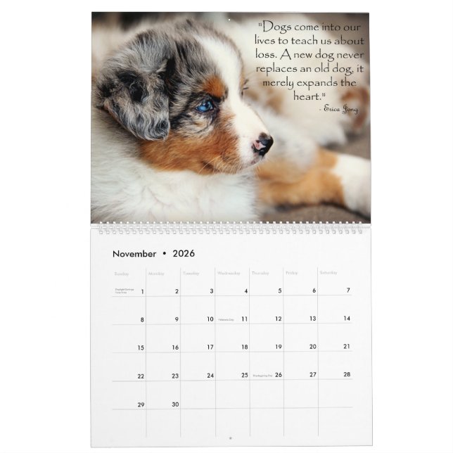 Mural Calendrier australien de chiots de berger (Nov 2026)