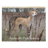 Calendrier Azawakh 2011