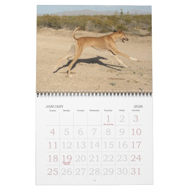 Mural Calendrier Azawakh 2011 (Jan 2026)
