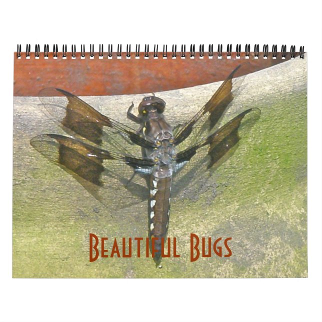 Mural Calendrier - Beaux bugs (Protection)