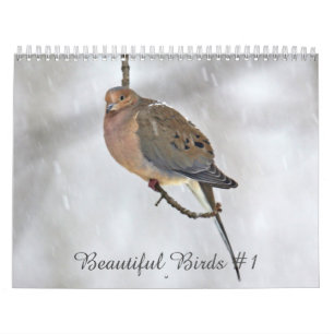Mural Calendrier Beaux oiseaux #1