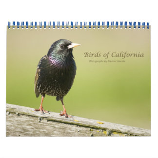 Mural Calendrier Birds of California 2010